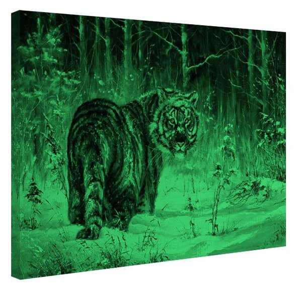 Tablou fosforescent Tigru siberian