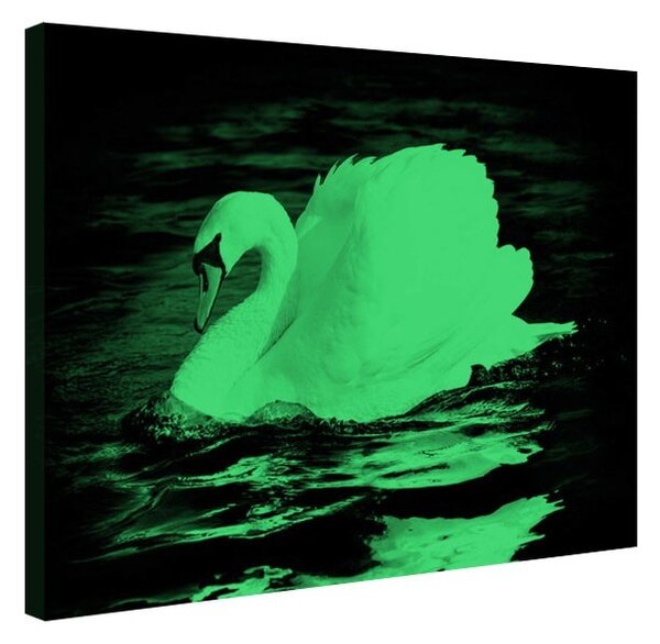 Tablou fosforescent Lebada