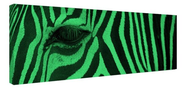 Tablou fosforescent﻿ Zebra