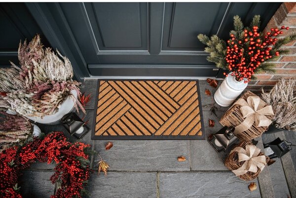 Covoraș de intrare din fibre de nucă de cocos 45x75 cm Crossings – Hanse Home