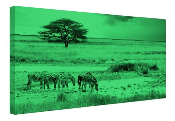 Tablou fosforescent Savana