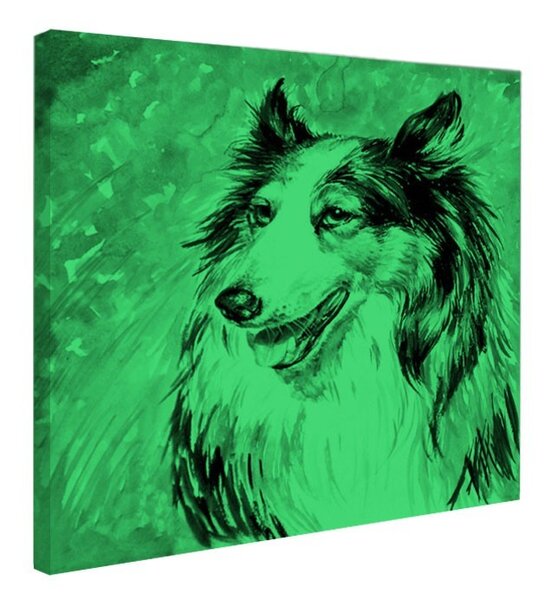 Tablou fosforescent Collie