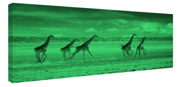 Tablou fosforescent Girafe alergand