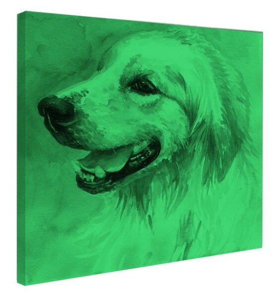Tablou fosforescent Labrador