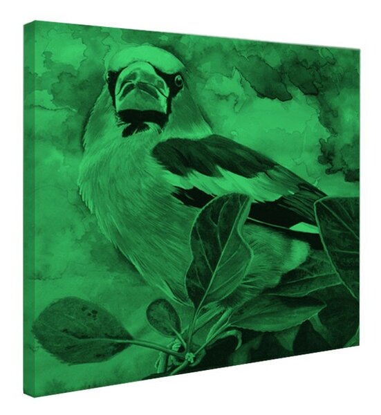 Tablou fosforescent Pasare Botgros