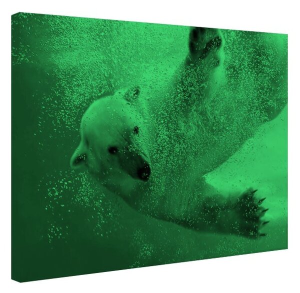 Tablou fosforescent Urs polar