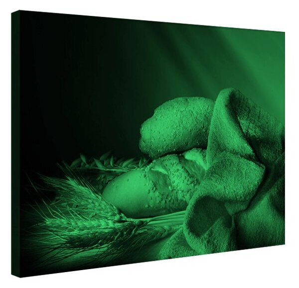 Tablou fosforescent Paine