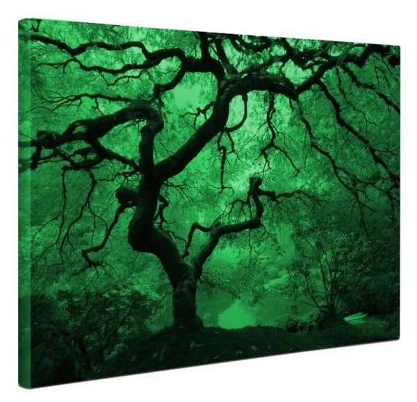 Tablou canvas fosforescent Artar alb-negru