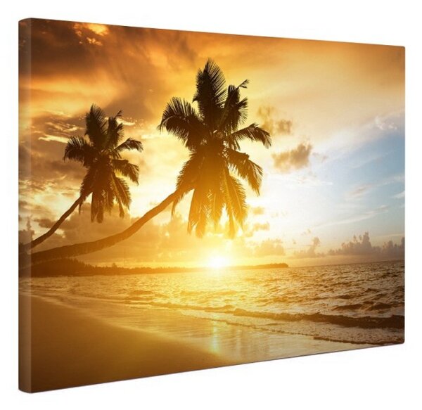 Tablou canvas fosforescent Tropical Island, 40x20 cm