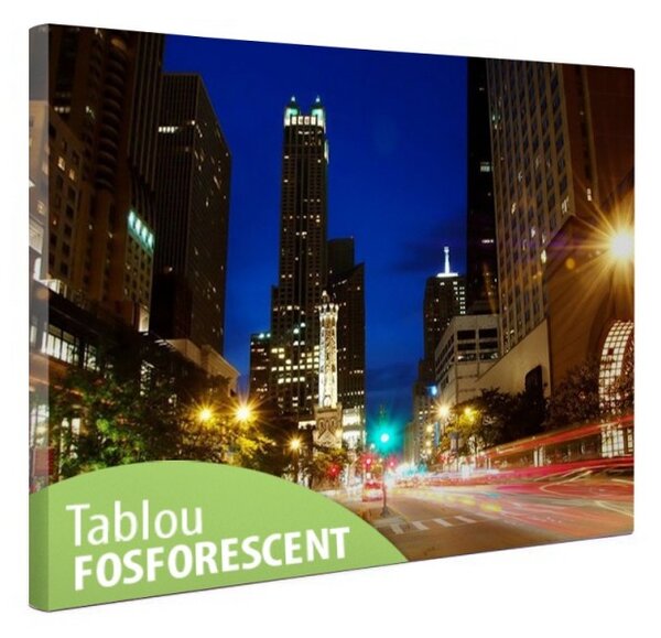 Tablou canvas fosforescent Night in Chicago, 60x40 cm