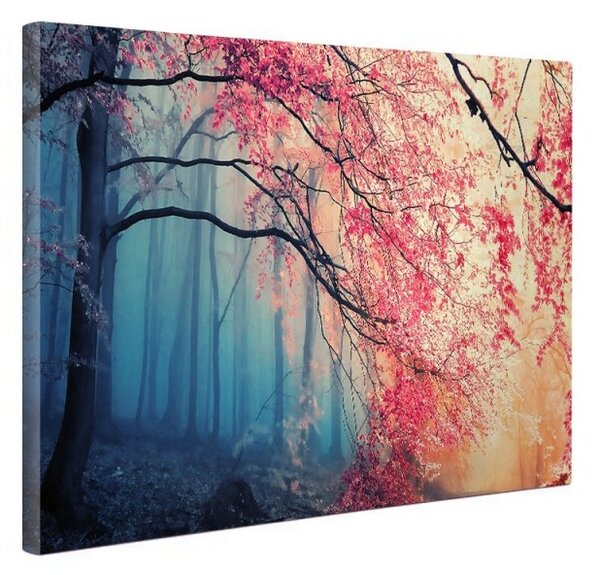 Tablou canvas fosforescent Misterul Padurii