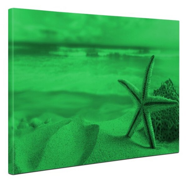 Tablou canvas fosforescent Steluta de mare, 60x40 cm