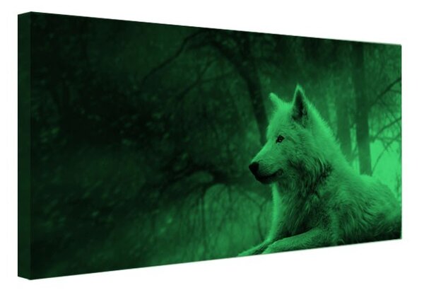 Tablou canvas fosforescent Lup alb