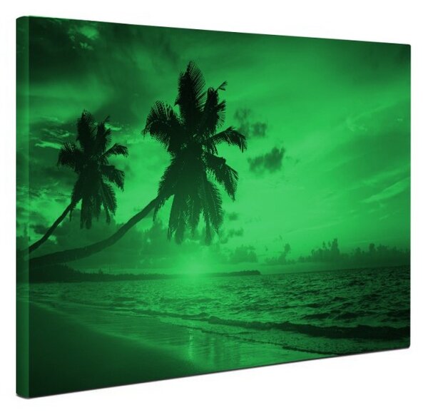 Tablou canvas fosforescent Tropical Island, 40x20 cm