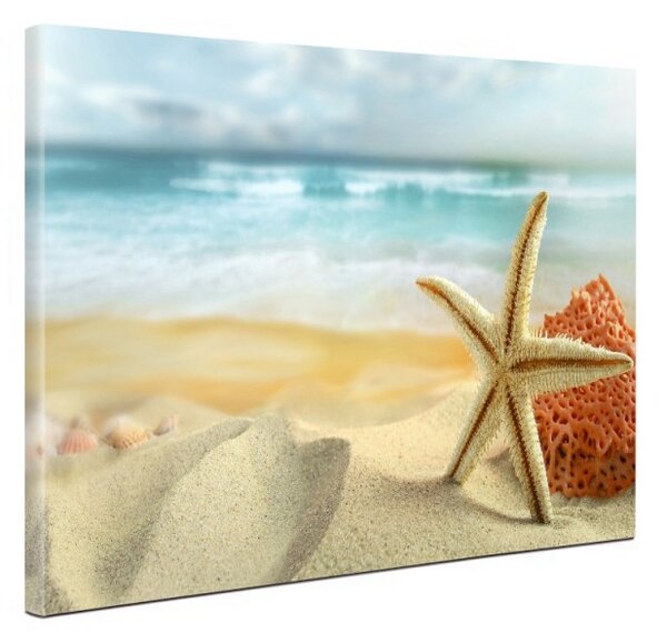 Tablou canvas fosforescent Steluta de mare, 60x40 cm