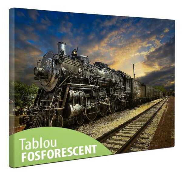 Tablou canvas fosforescent Fantastic Train, 60x40 cm