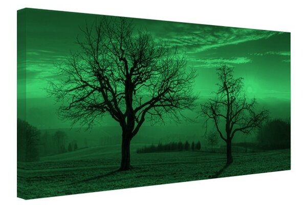 Tablou canvas fosforescent Trees in the sunset, 80x40 cm
