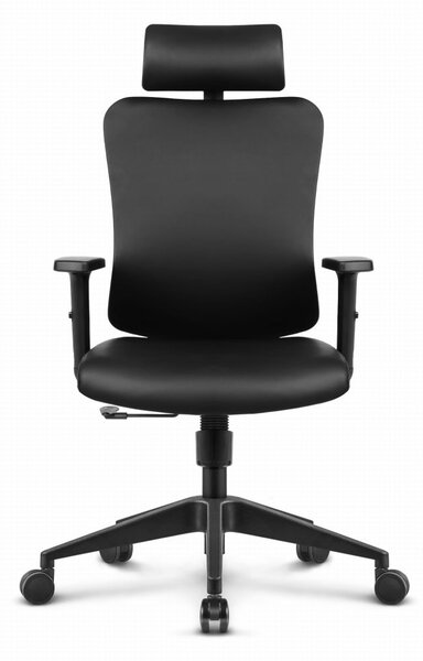 Scaun de birou ergonomic HC-1041 - negru, cu tetieră reglabilă și suport lombar