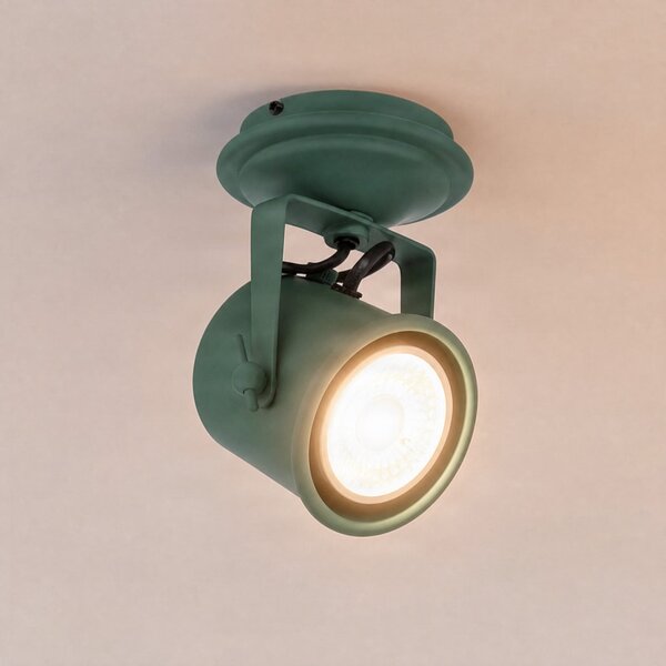 Argon Spot de tavan Canico, 1 bec, verde, Verde, Camera de zi / sufragerie, Metal, Modern