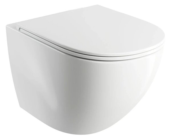Set complet vas WC suspendat OMNIRES, Ottawa, OTTAWAMWBP, cu rezervor si clapeta