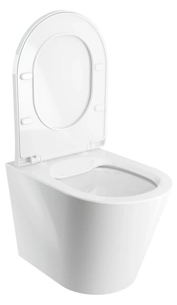 Set complet vas WC suspendat OMNIRES, Ottawa Tampa, TAMPAMWBP, cu rezervor si clapeta