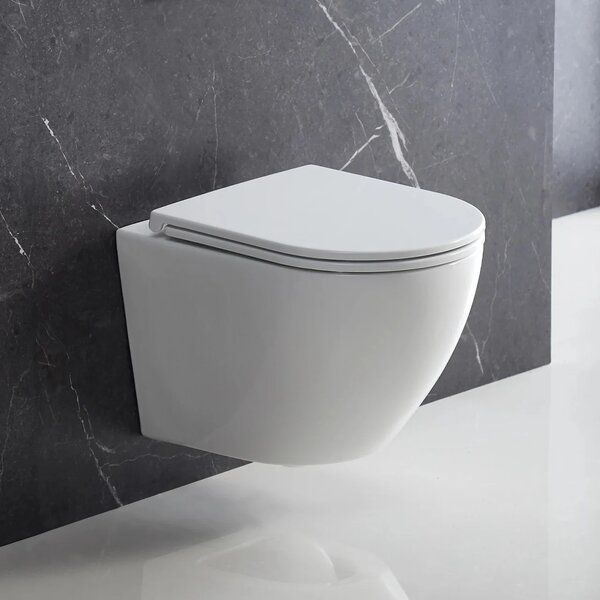 Set complet vas WC suspendat OMNIRES, Ottawa, OTTAWAMWBP, cu rezervor si clapeta
