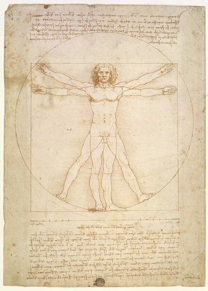 Leonardo da Vinci - Reproducere The Proportions of the human figure , c.1492, (30 x 40 cm)