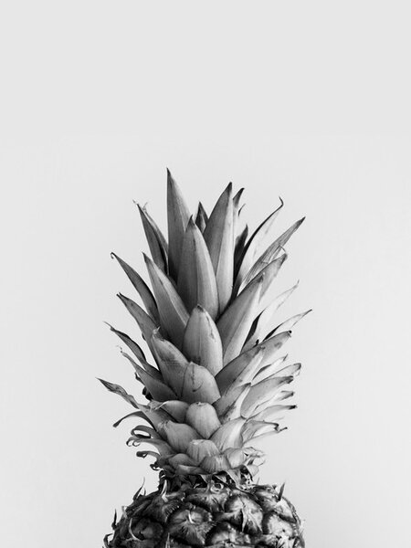 Ilustrare pineappleblackandwhite, Finlay & Noa, (30 x 40 cm)