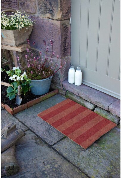 Covoraș de intrare din fibre de nucă de cocos 40x60 cm Pink Stripe – Artsy Doormats