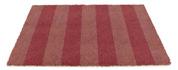 Covoraș de intrare din fibre de nucă de cocos 40x60 cm Pink Stripe – Artsy Doormats