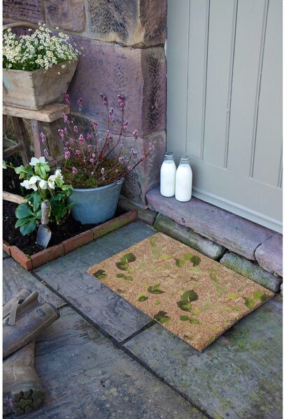 Covoraș de intrare din fibre de nucă de cocos 40x60 cm Watercolour Leaves – Artsy Doormats