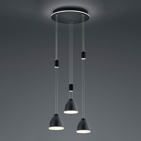 HELL Lampă suspendată LED Leni 3 becuri, rotundă, negru, reglabil, Negru, Camera de zi / sufragerie, Metal, Modern