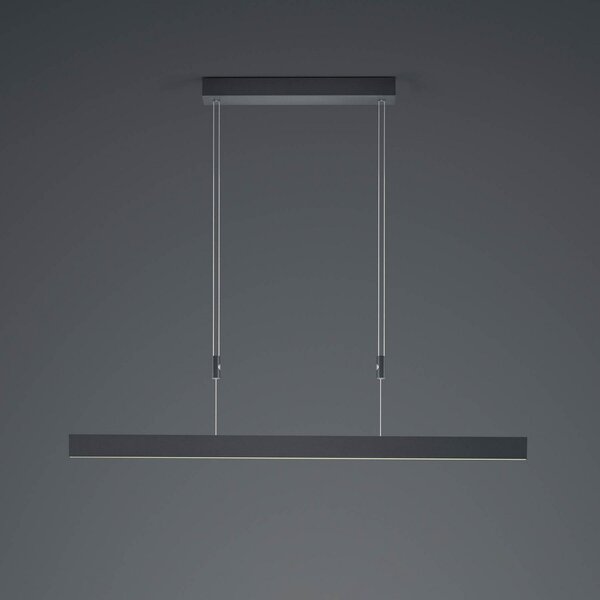HELL Suspensie Delta LED, 100 cm, negru, reglabil, Negru, Camera de zi / sufragerie, Metal, Modern
