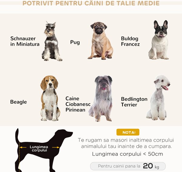 PawHut Canapea pentru Câini cu Pernă, Brațe și Spătar Gri Deschis | Aosom Romania