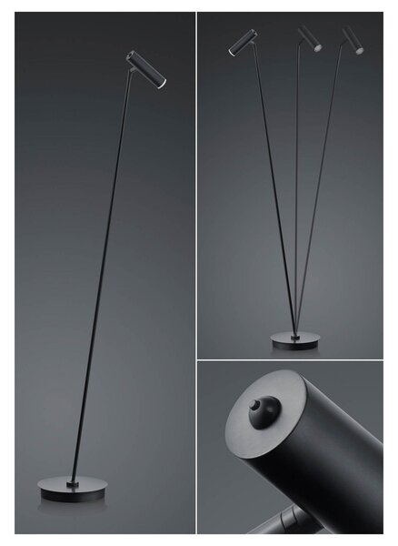 HELL Lampadar LED Tom, dimabil, negru, reglabil, Negru, Camera de zi / sufragerie, Metal, Modern
