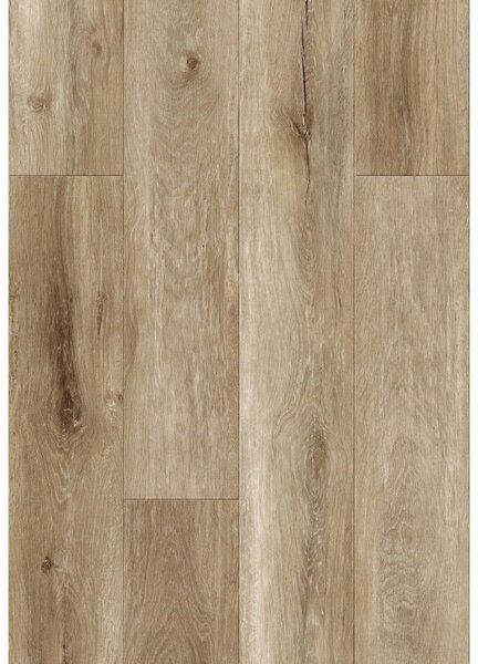Mexen Long Creek probă panouri vinilice SPC 6,5 mm, substrat IXPE 1,5 mm, 4 V-Fugă, Stejar - F1050-S