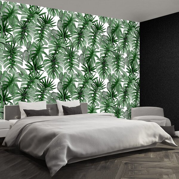 Fototapet tropical Monstera