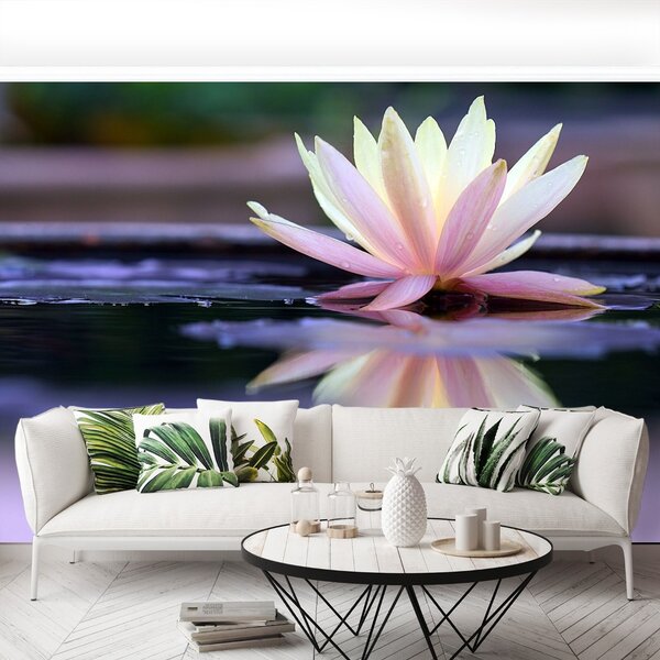 Fototapet Lotus