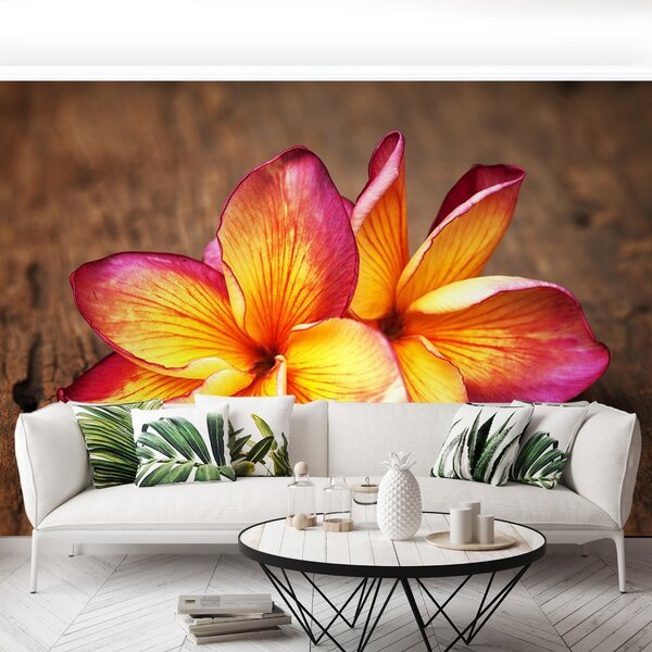 Fototapet plumeria din lemn