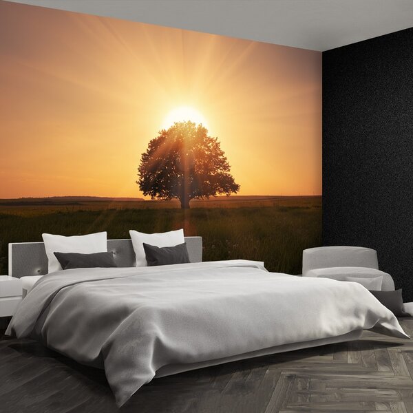 Fototapet Arborele Sunrise