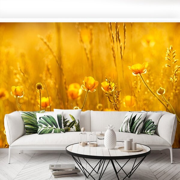 Fototapet Flori Meadow