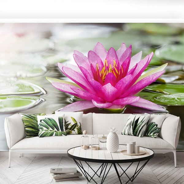 Fototapet roz Lotus