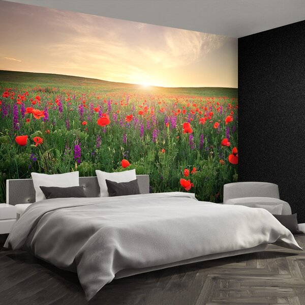 Fototapet maci Meadow