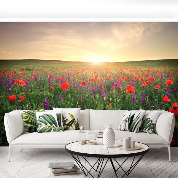 Fototapet maci Meadow