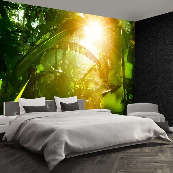 Fototapet Jungle În Vietnam