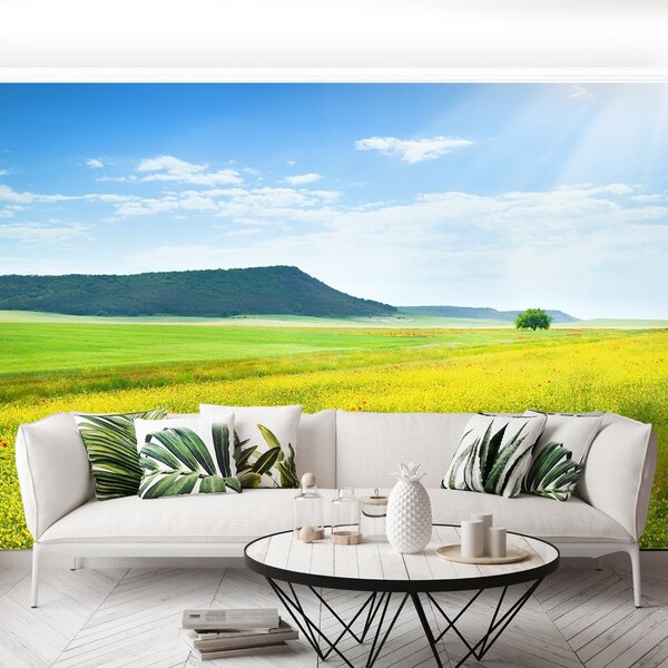 Fototapet Spring Meadow