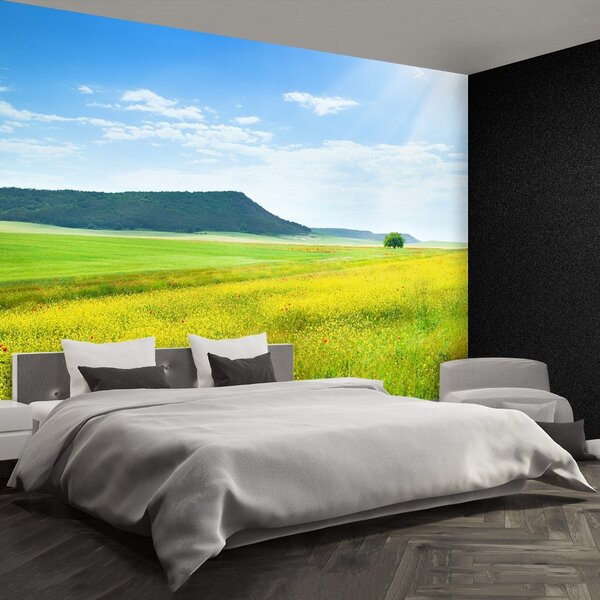 Fototapet Spring Meadow