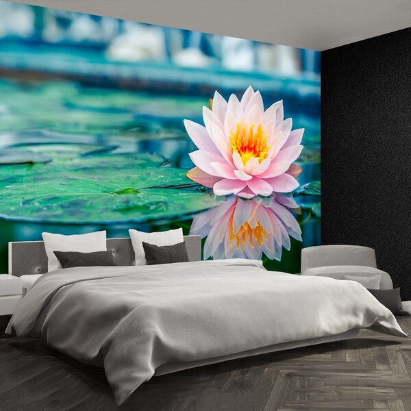 Fototapet roz Lotus