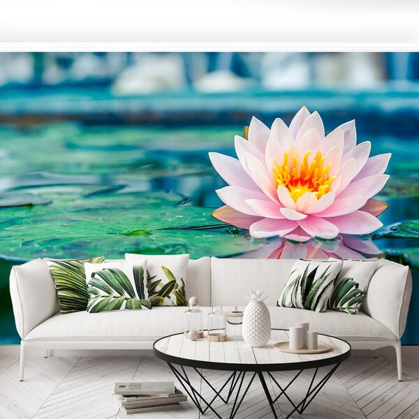 Fototapet roz Lotus