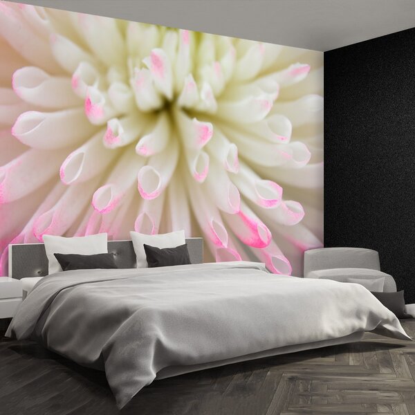 Fototapet alb Aster